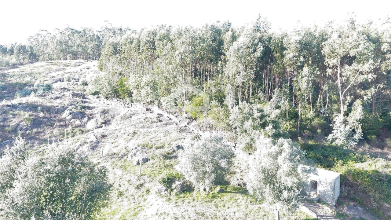 Terreno para Venda em Baltar Foto 10