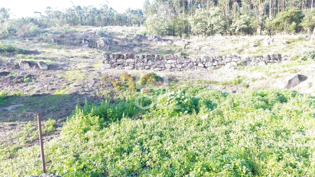 Terreno para Venda em Baltar Foto 11
