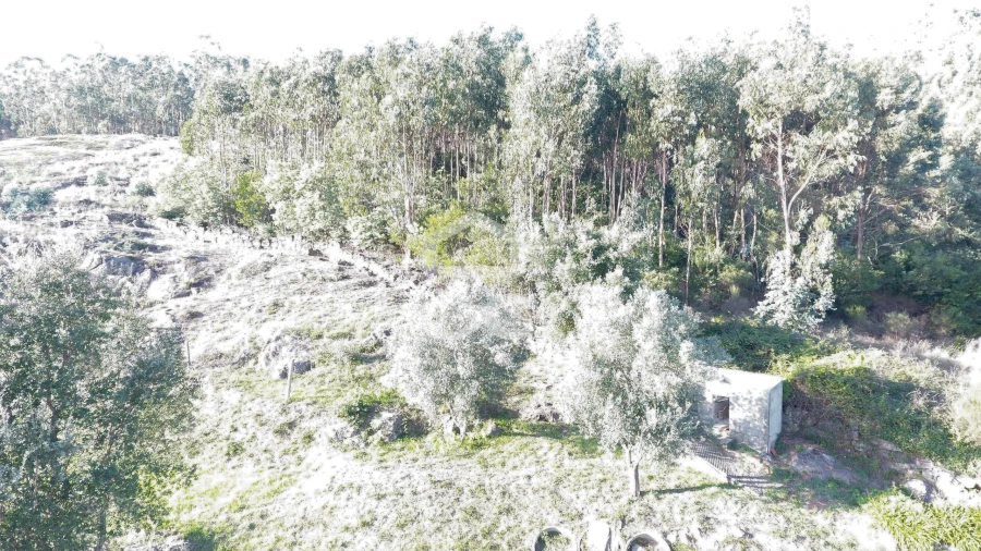 Terreno para Venda em Baltar Foto 8