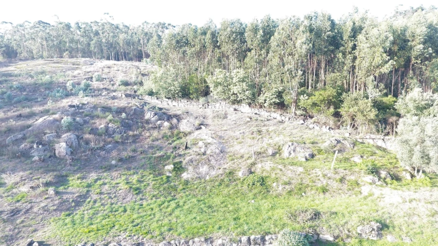 Terreno para Venda em Baltar Foto 5