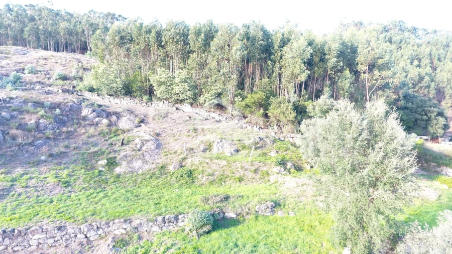 Terreno para Venda em Baltar Foto 13