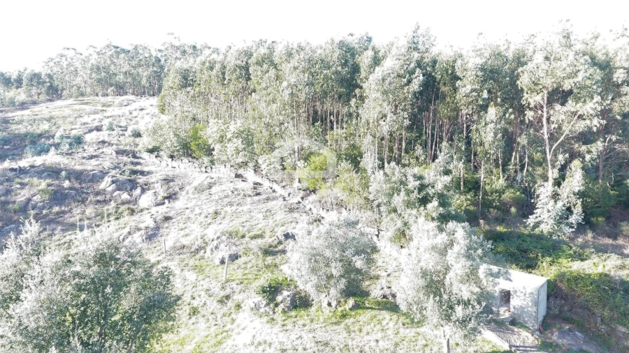 Terreno para Venda em Baltar Foto 10