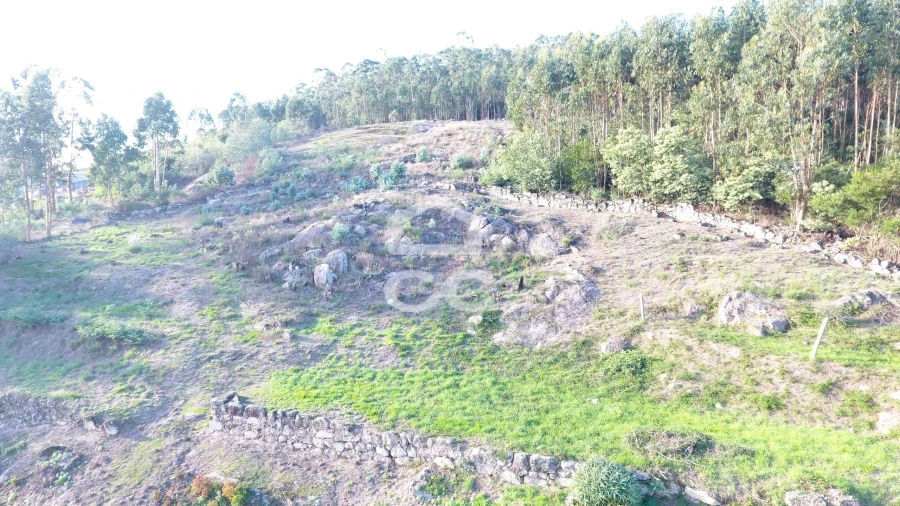 Terreno para Venda em Baltar Foto 12