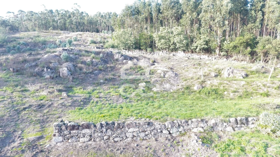 Terreno para Venda em Baltar Foto 9