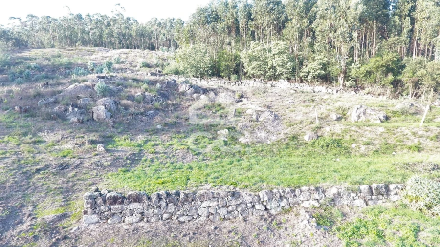 Terreno para Venda em Baltar Foto 1