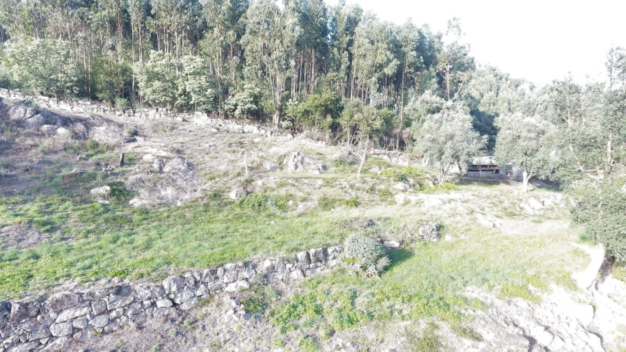 Terreno para Venda em Baltar Foto 7