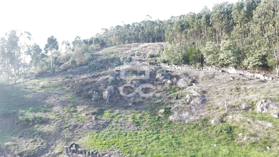 Terreno para Venda em Baltar Foto 3