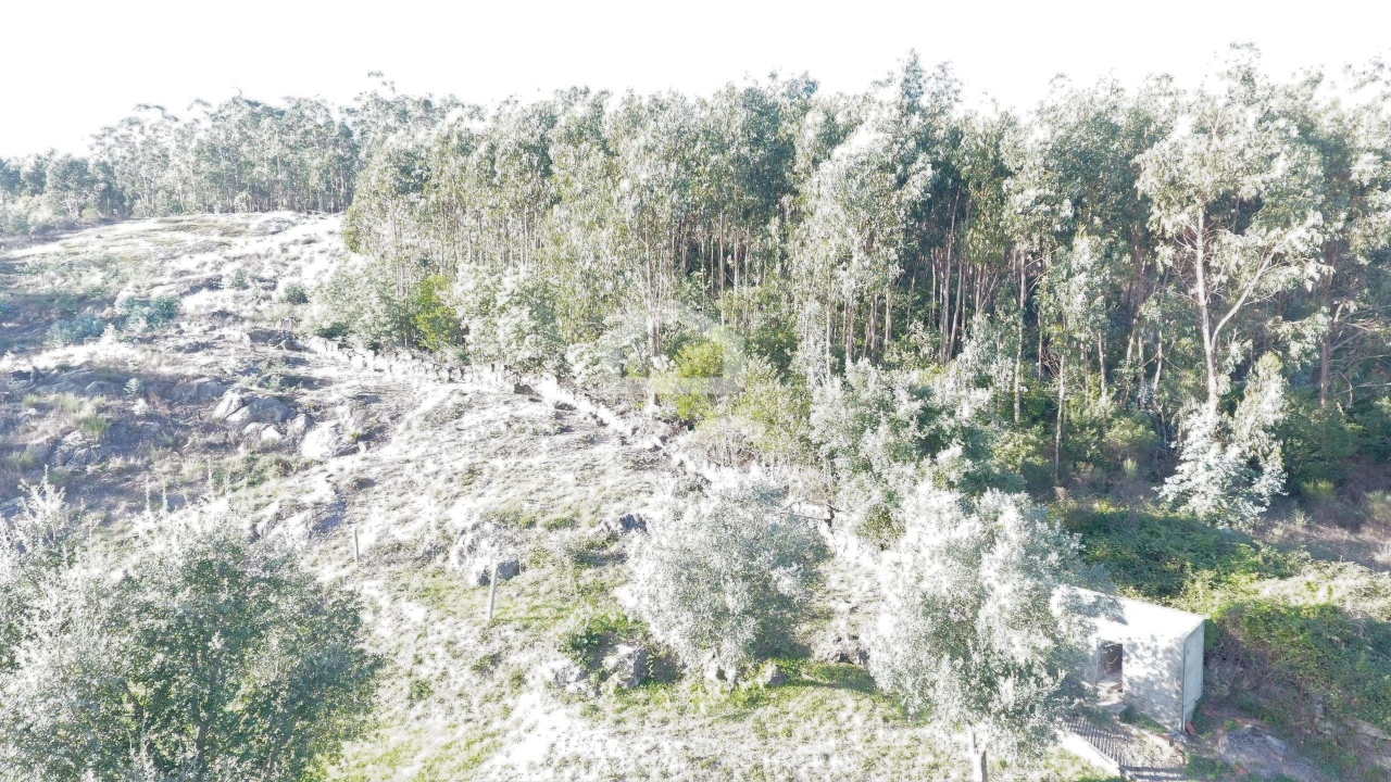 Terreno para Venda em Baltar Foto 6