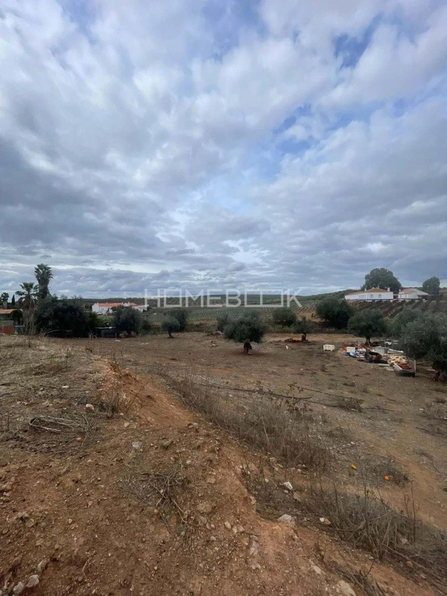 Terreno para Venda em Montoito Foto 22