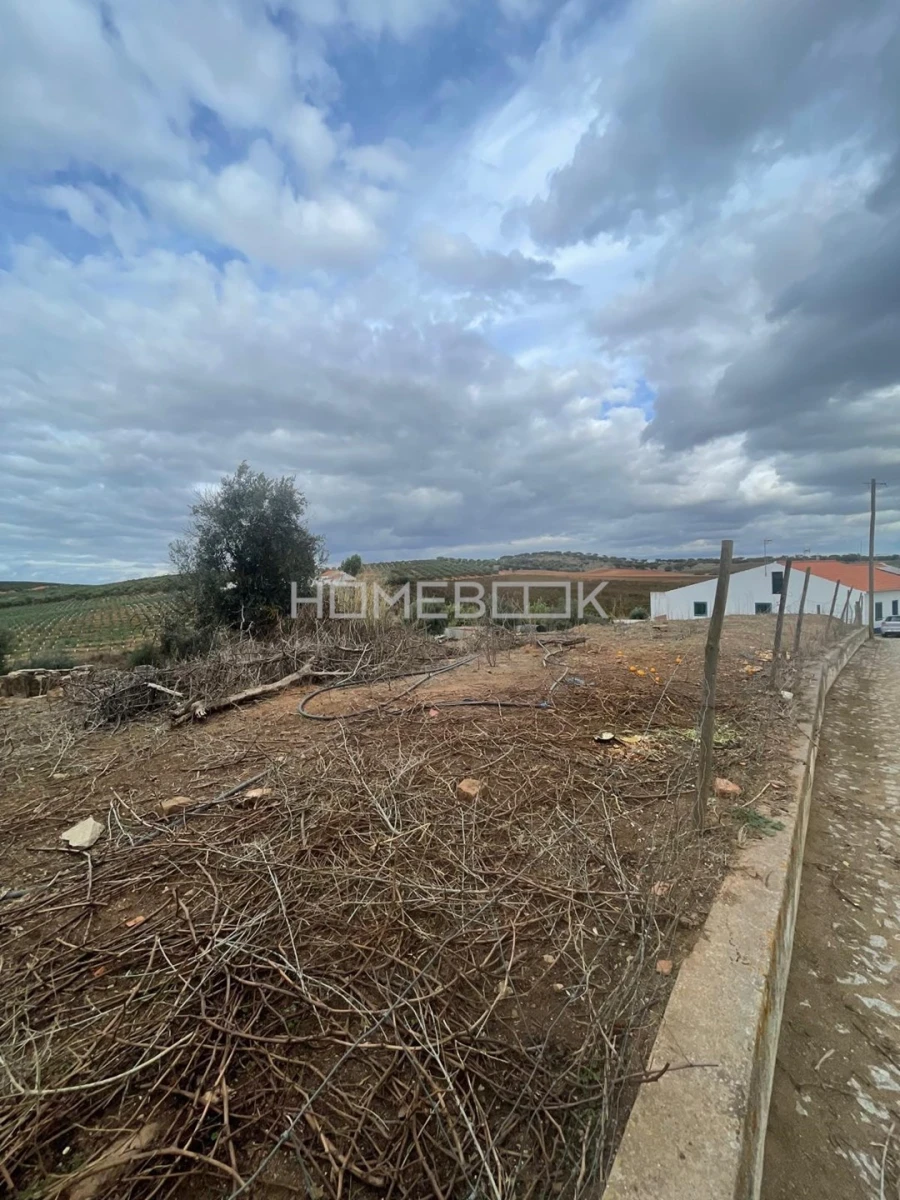 Terreno para Venda em Montoito Foto 21