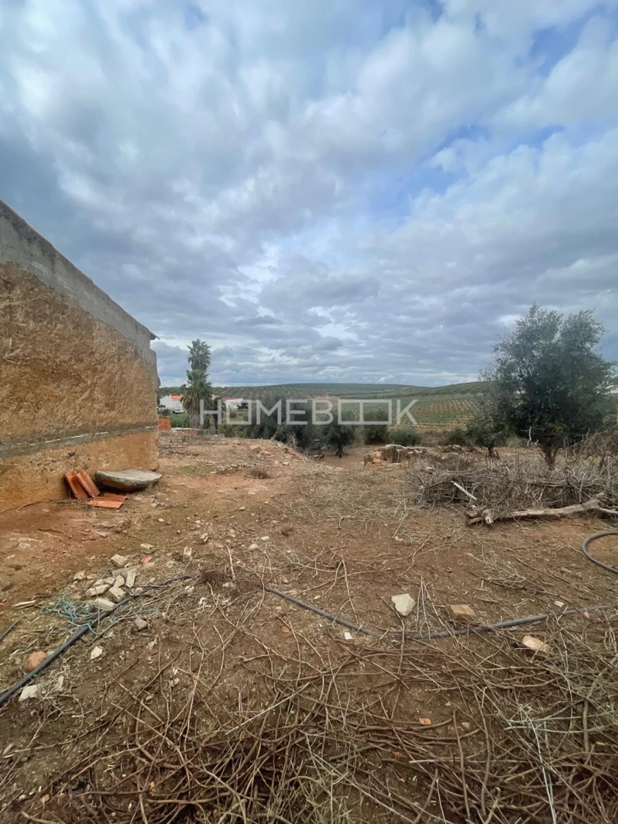Terreno para Venda em Montoito Foto 20