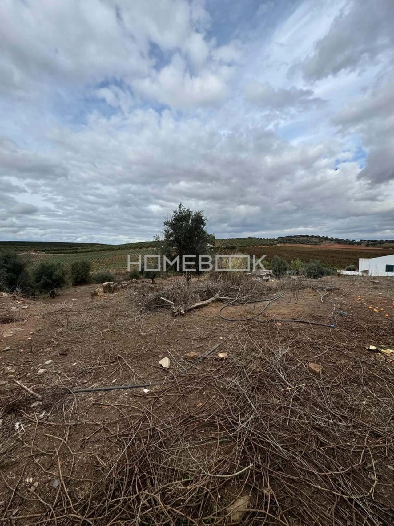 Terreno para Venda em Montoito Foto 24