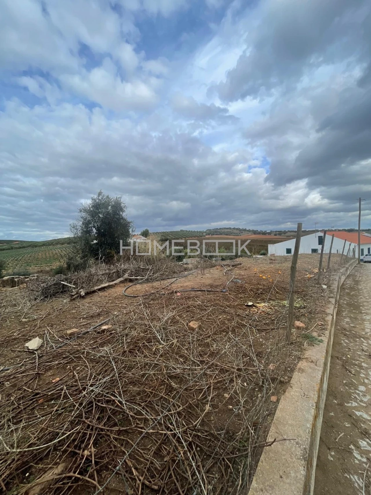 Terreno para Venda em Montoito Foto 21