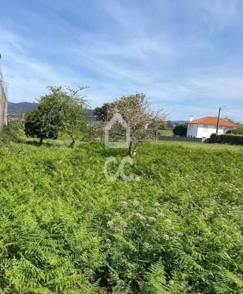Terreno para Venda em Darque