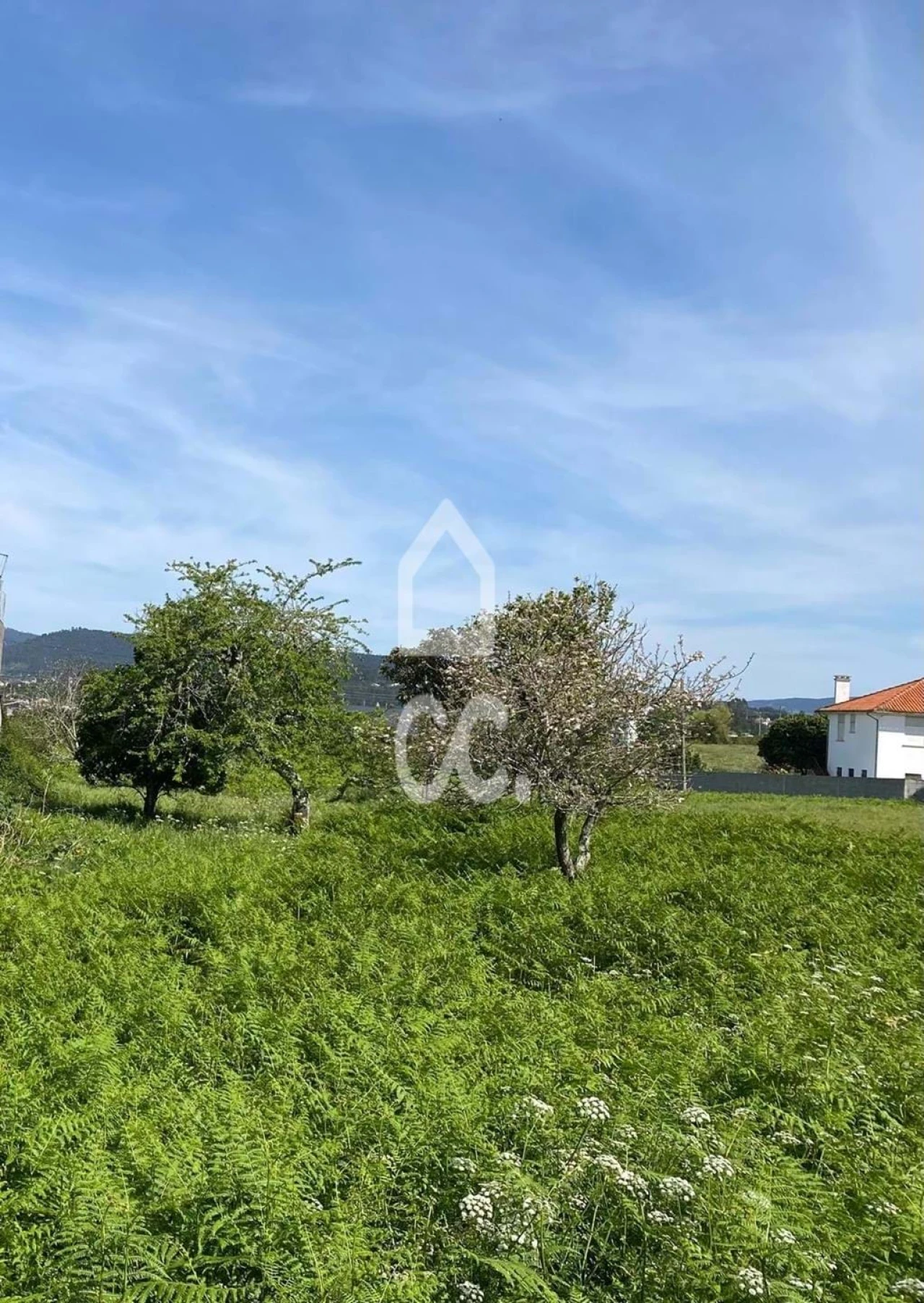 Terreno para Venda em Darque Foto 7