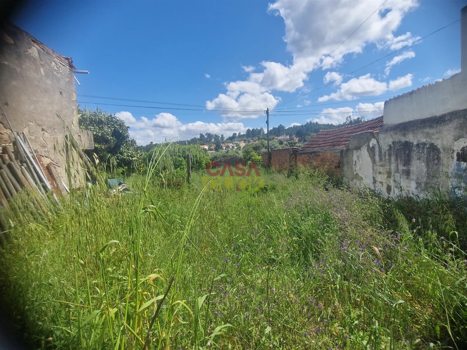Terreno para Venda em Malhou, Louriceira e Espinheiro Foto 7