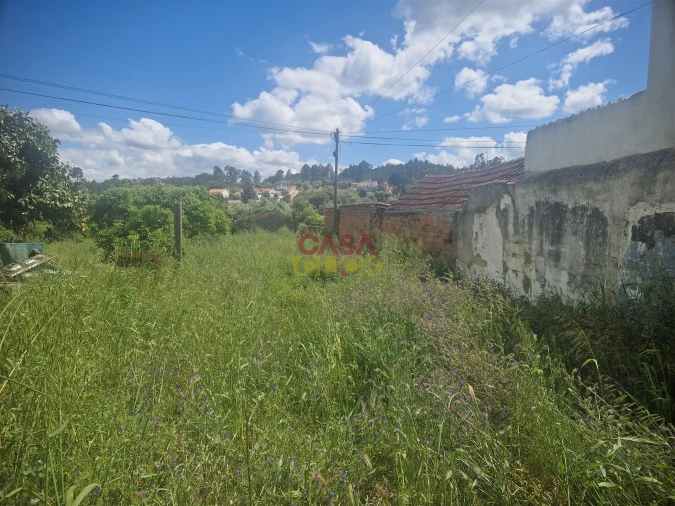 Terreno para Venda em Malhou, Louriceira e Espinheiro Foto 3