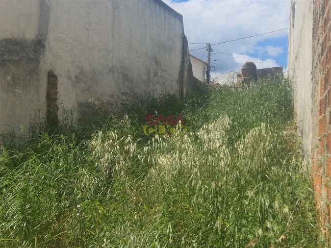 Terreno para Venda em Malhou, Louriceira e Espinheiro Foto 5