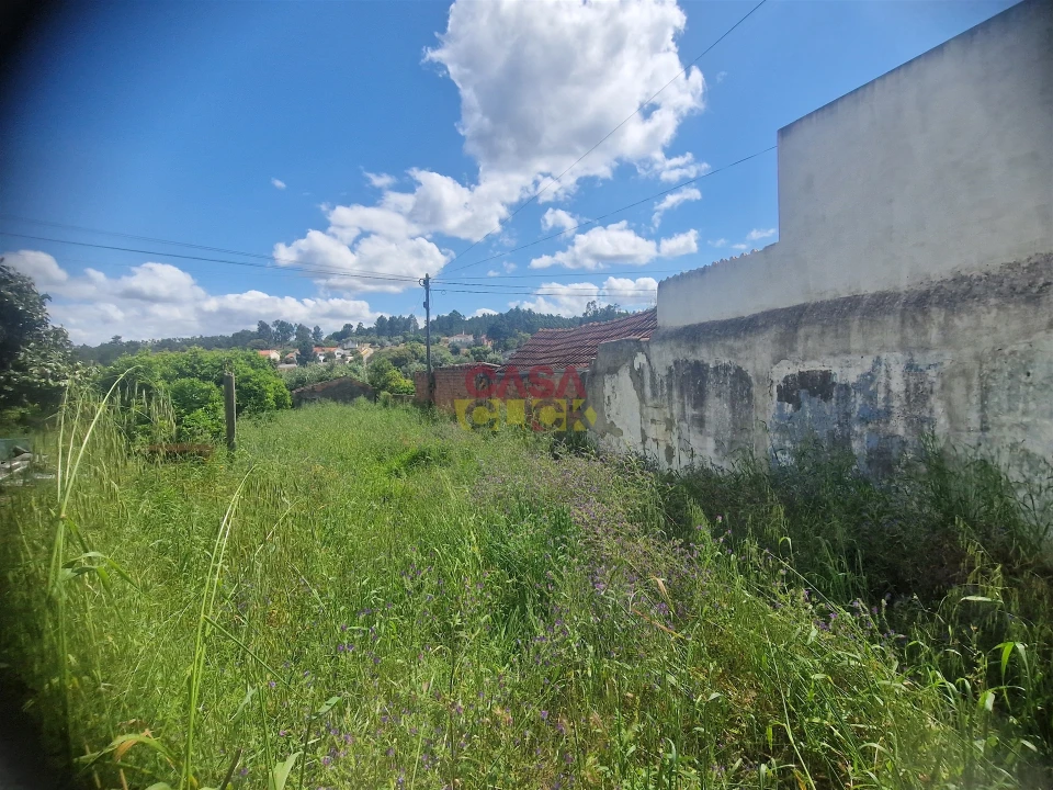 Terreno para Venda em Malhou, Louriceira e Espinheiro Foto 8