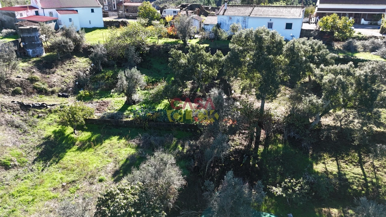 Terreno Misto para Venda em Cardigos Foto 6