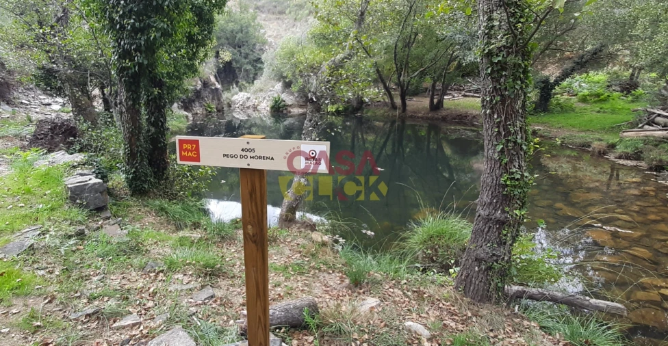 Terreno Agricola ou Rústico para Venda em Cardigos Foto 14