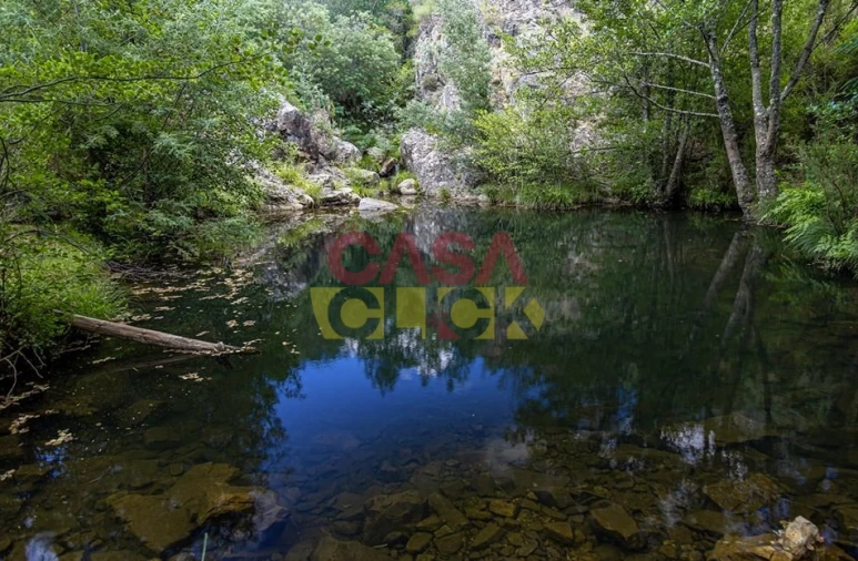 Terreno Agricola ou Rústico para Venda em Cardigos Foto 13