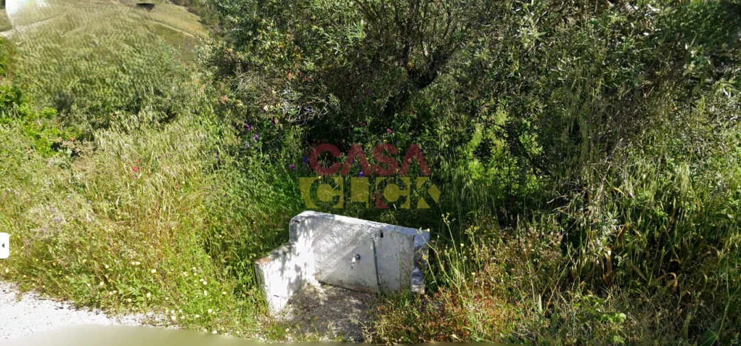 Terreno Agricola ou Rústico para Venda em Cardigos Foto 7