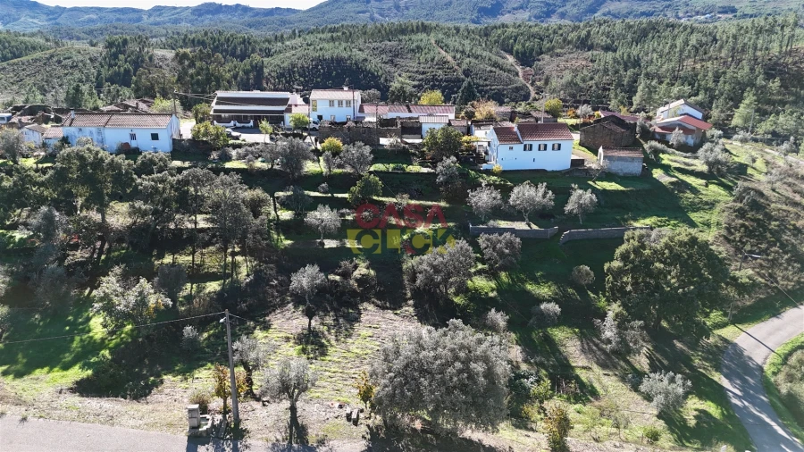 Terreno Agricola ou Rústico para Venda em Cardigos Foto 28