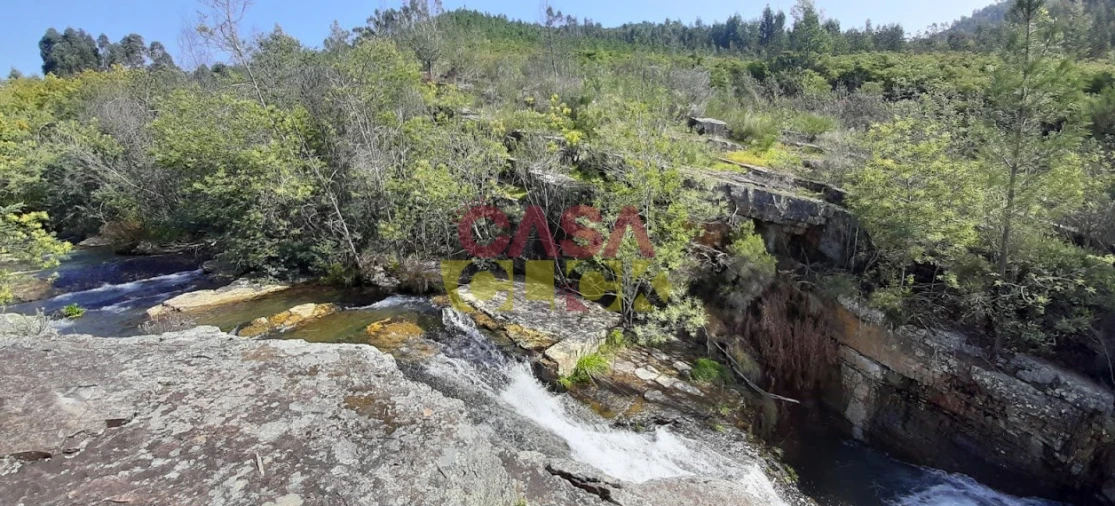Terreno Agricola ou Rústico para Venda em Cardigos Foto 15