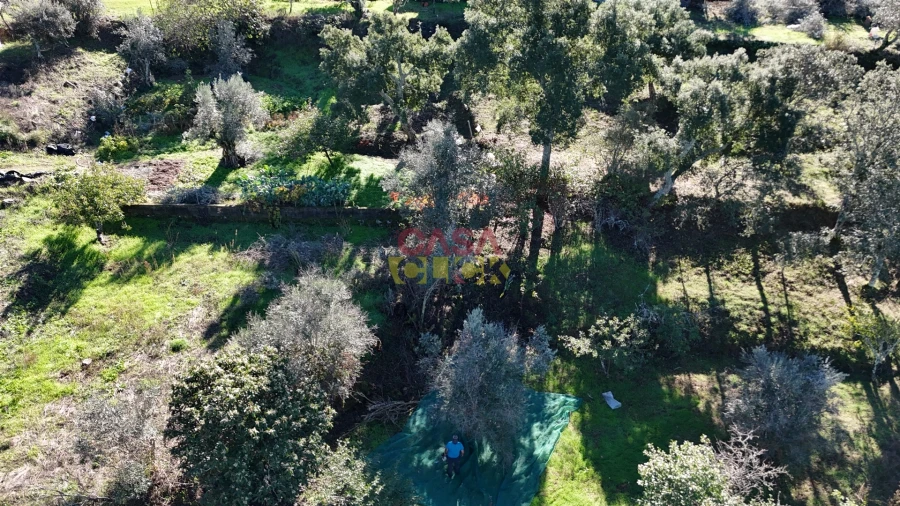 Terreno Agricola ou Rústico para Venda em Cardigos Foto 3