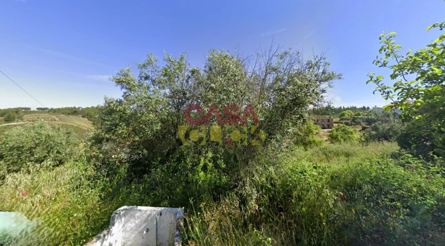 Terreno Agricola ou Rústico para Venda em Cardigos Foto 9