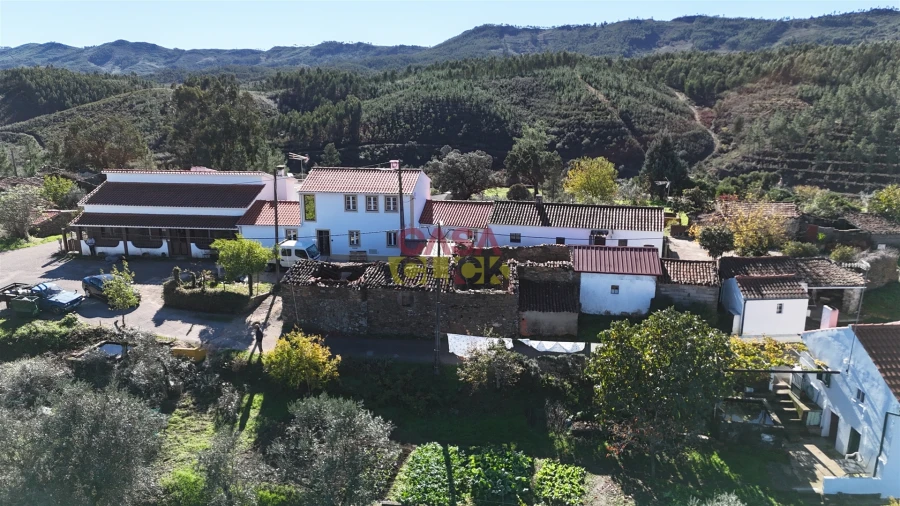 Terreno Agricola ou Rústico para Venda em Cardigos Foto 5