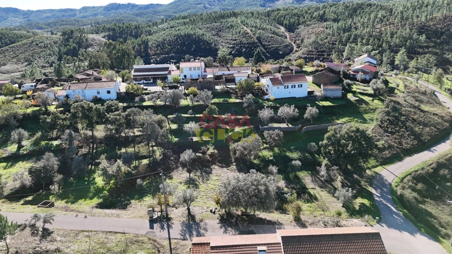 Terreno Agricola ou Rústico para Venda em Cardigos Foto 6