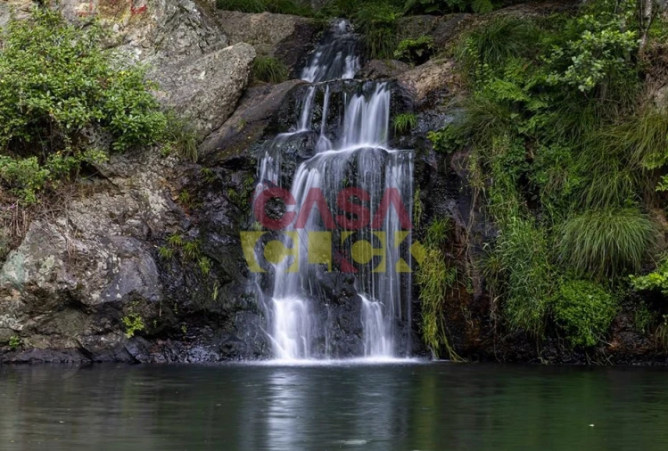 Terreno Agricola ou Rústico para Venda em Cardigos Foto 16