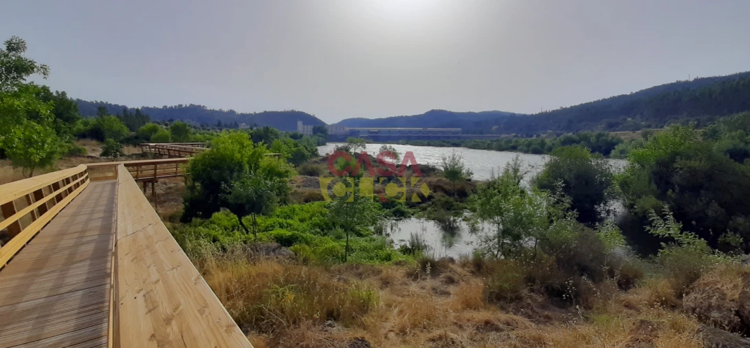 Terreno Agricola ou Rústico para Venda em Cardigos Foto 27