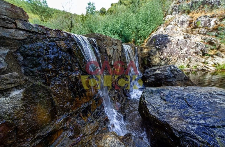 Terreno Agricola ou Rústico para Venda em Cardigos Foto 20