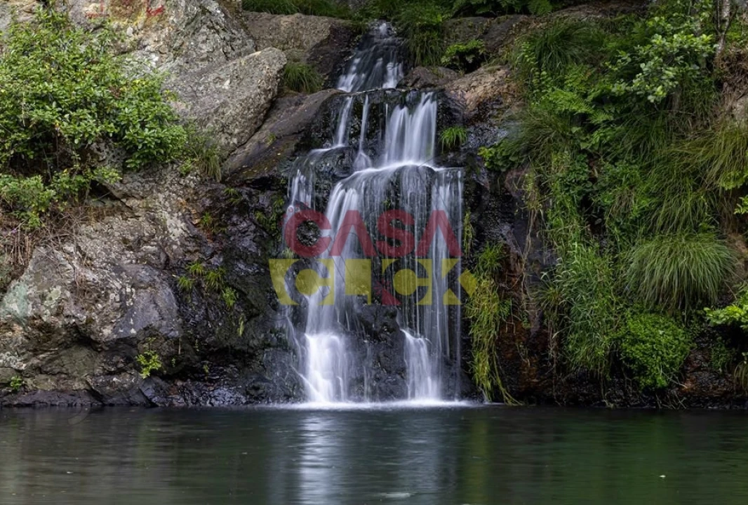 Terreno Misto para Venda em Cardigos Foto 18