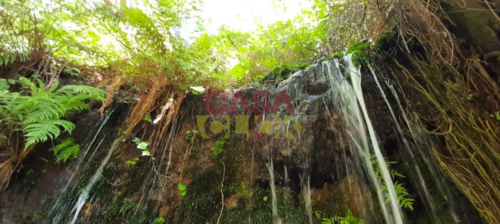 Terreno Misto para Venda em Cardigos Foto 23