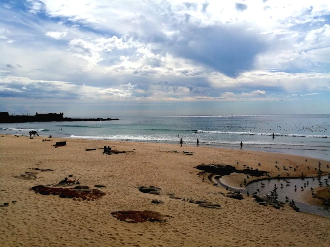 Apartamento T3 para Venda em Matosinhos e Leça da Palmeira Foto 41