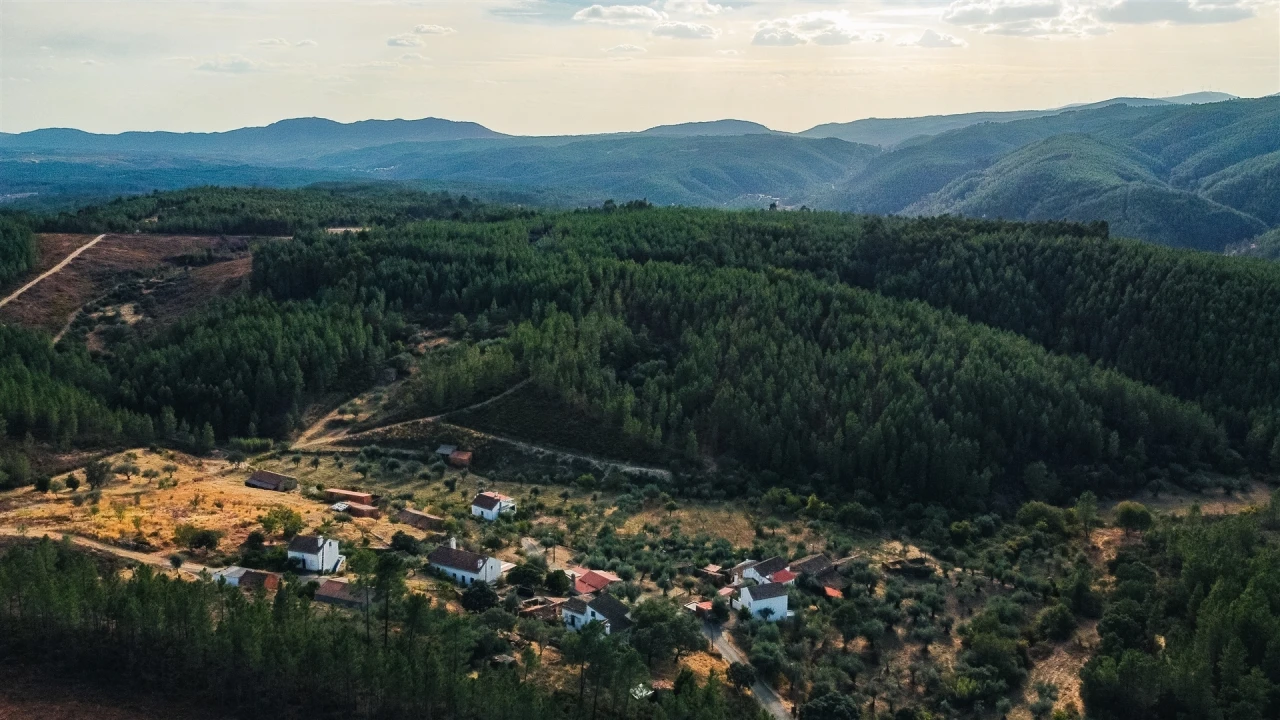 Moradia T4 para Venda em Sarzedas Foto 6