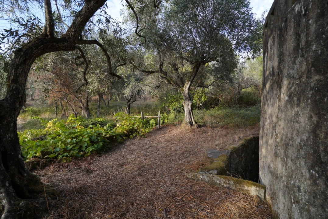 Moradia T4 para Venda em Sarzedas Foto 48