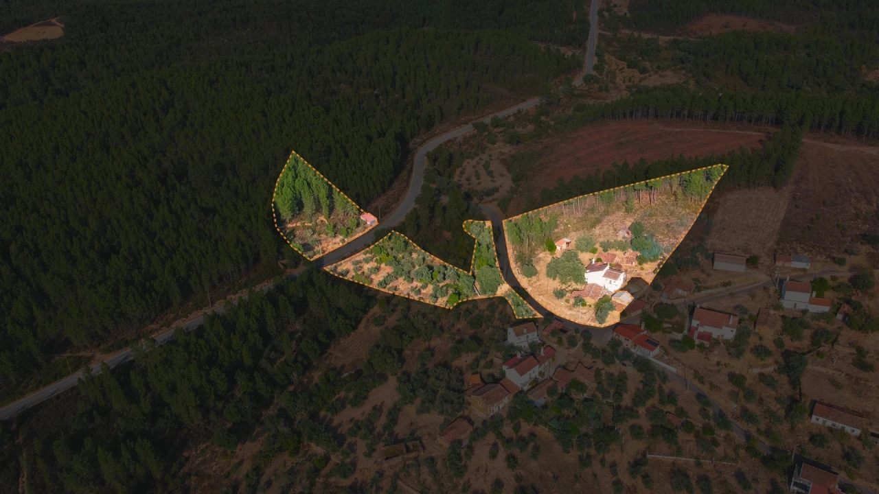 Moradia T4 para Venda em Sarzedas Foto 3