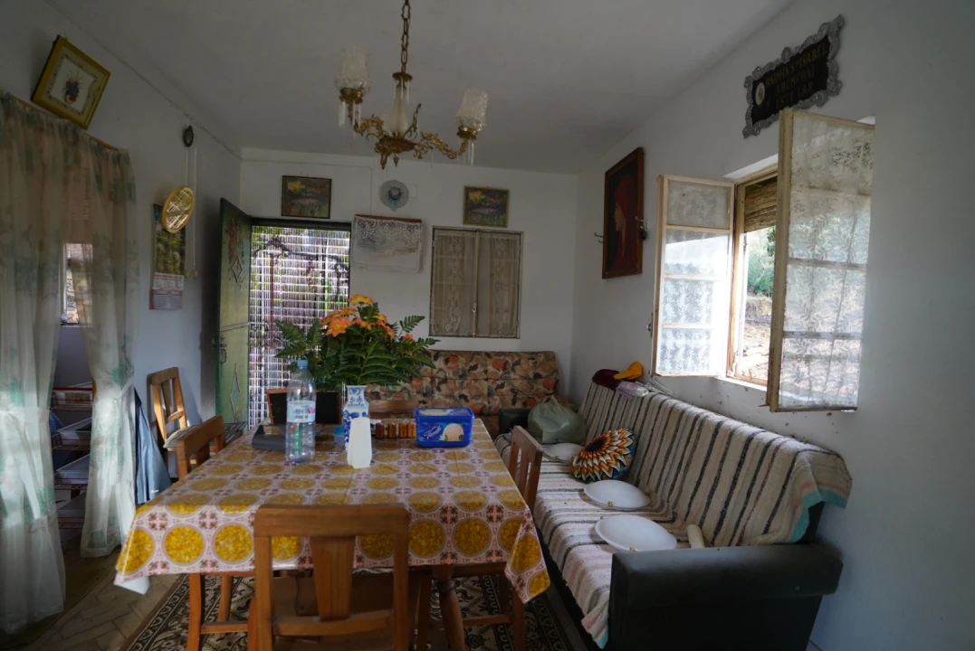 Moradia T4 para Venda em Sarzedas Foto 34