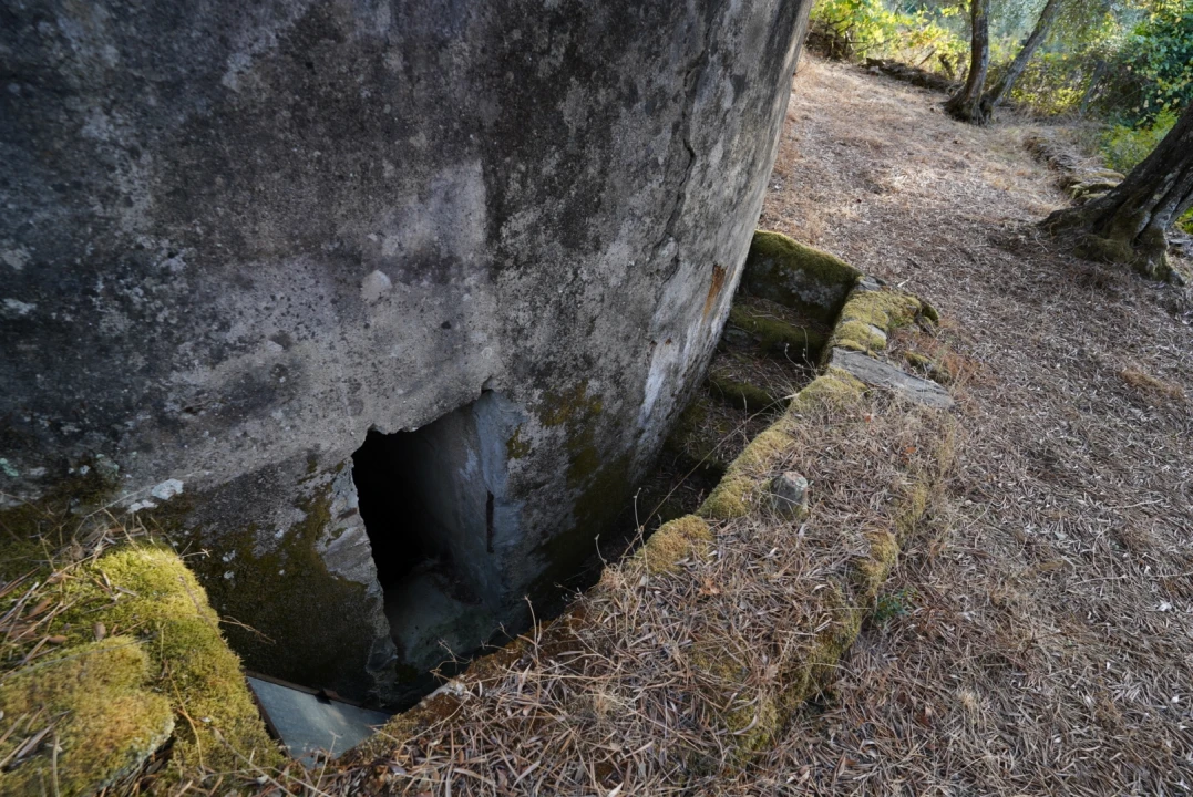 Moradia T4 para Venda em Sarzedas Foto 49