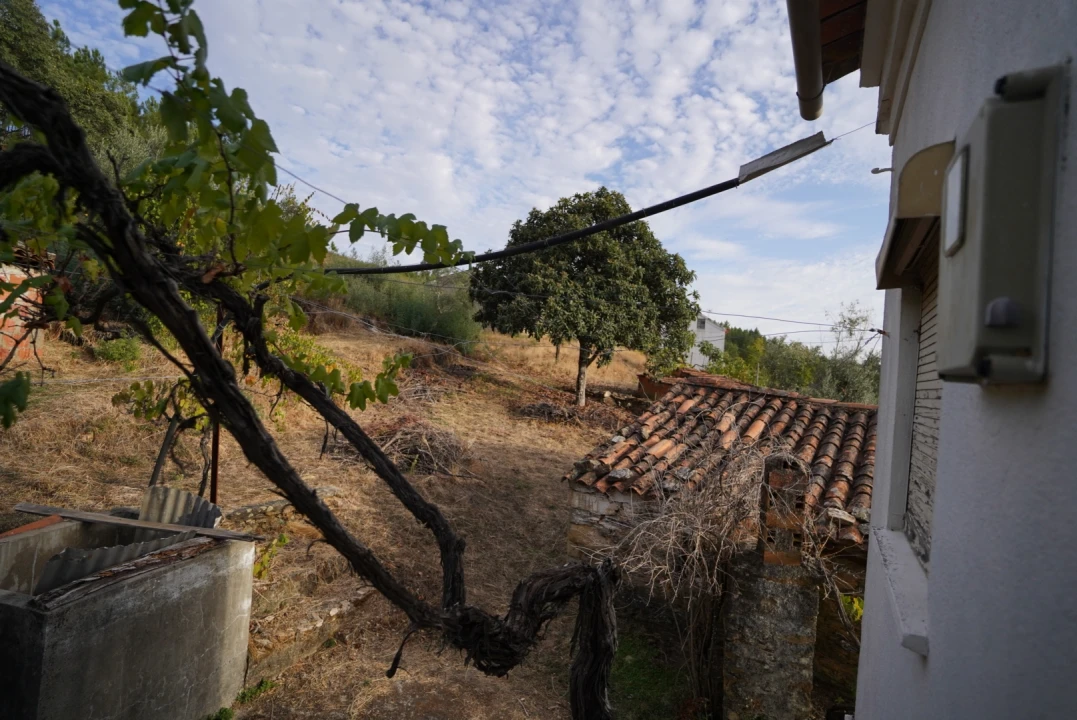 Moradia T4 para Venda em Sarzedas Foto 33