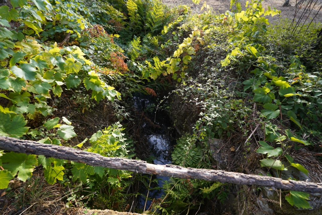 Moradia T4 para Venda em Sarzedas Foto 51