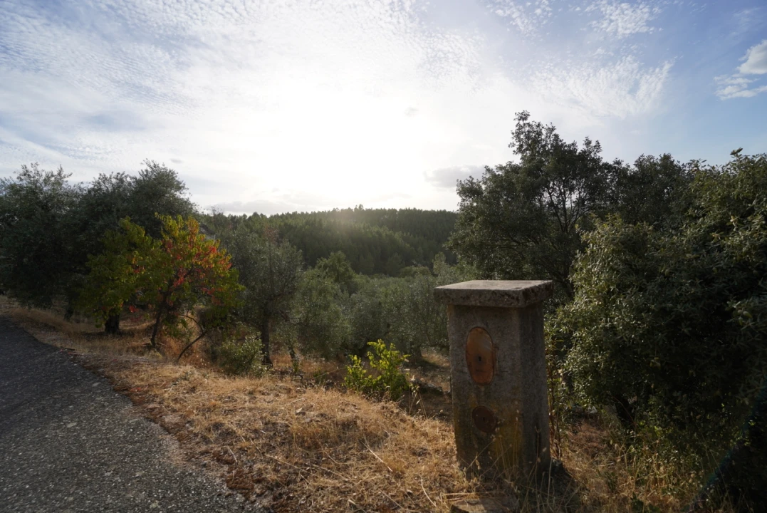 Moradia T4 para Venda em Sarzedas Foto 43