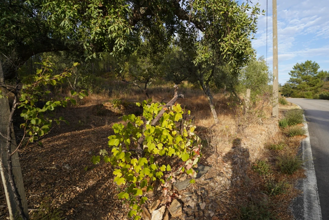 Moradia T4 para Venda em Sarzedas Foto 57