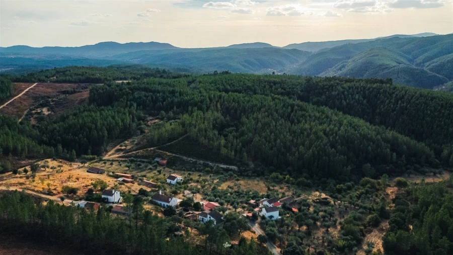 Moradia T4 para Venda em Sarzedas Foto 6