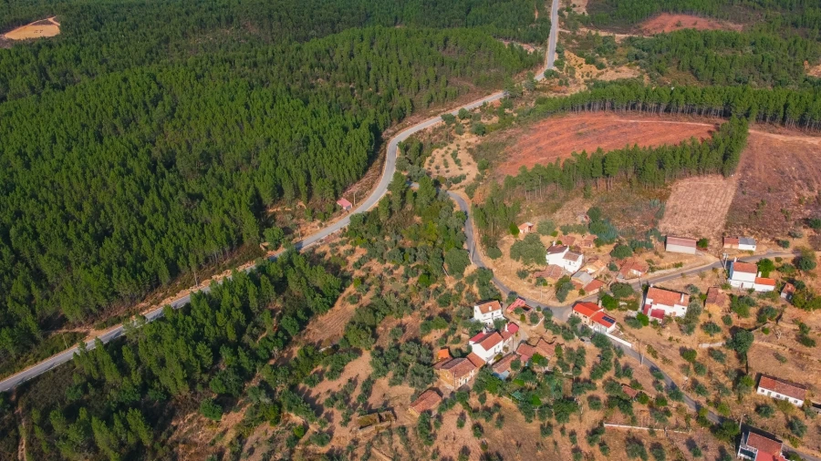 Moradia T4 para Venda em Sarzedas Foto 4